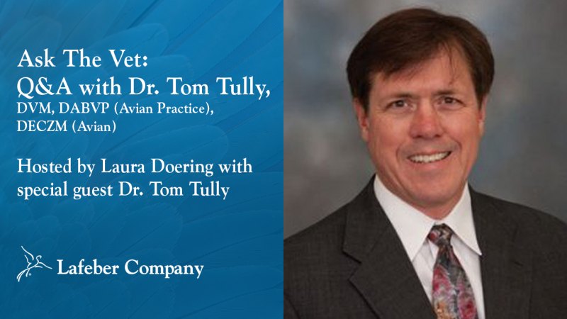 Webinar: Ask The Vet With Dr. Tully