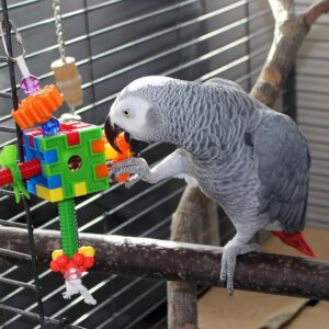 African grey parrot on perch in cage playing with toy