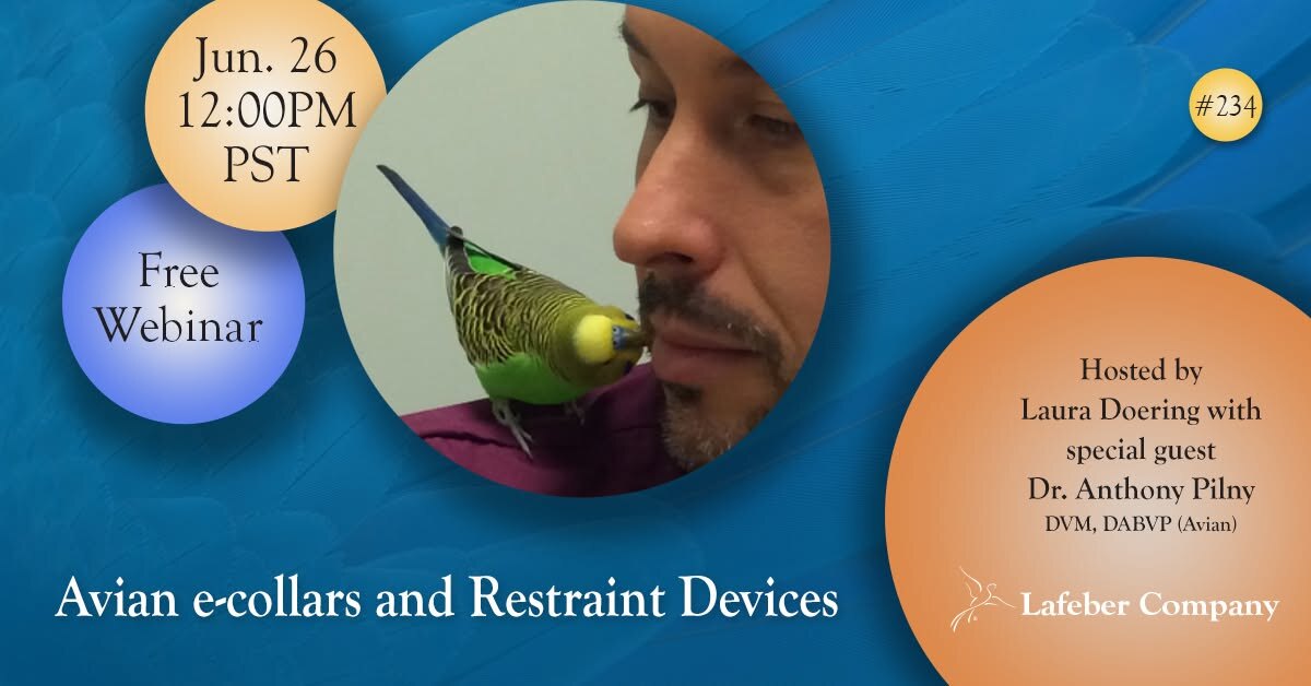 Webinar: Avian e-Collars & Restraint Devices With Dr. Pilny