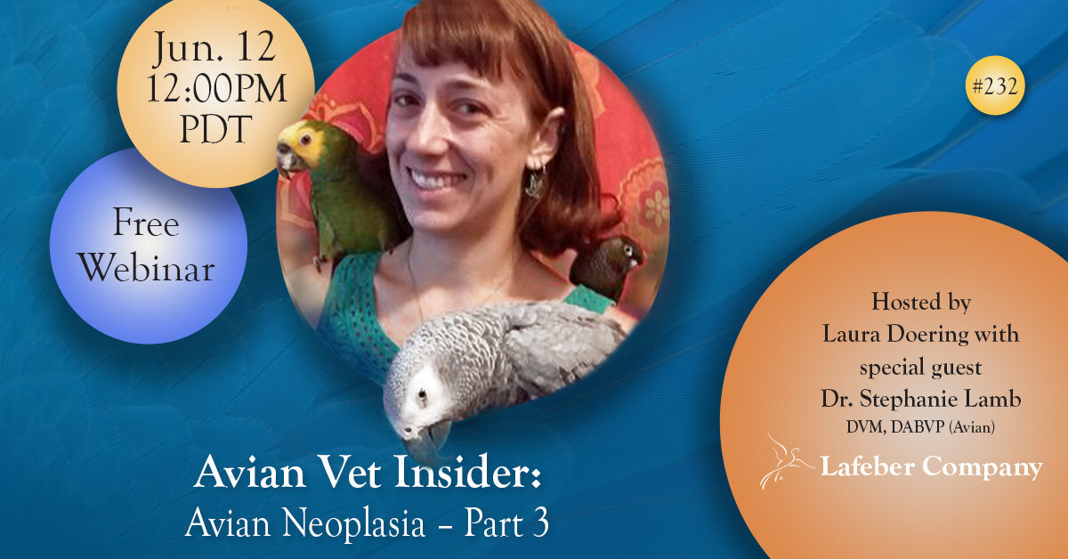 Webinar: Avian Neoplasia, Part 3, with Dr. Stephanie Lamb