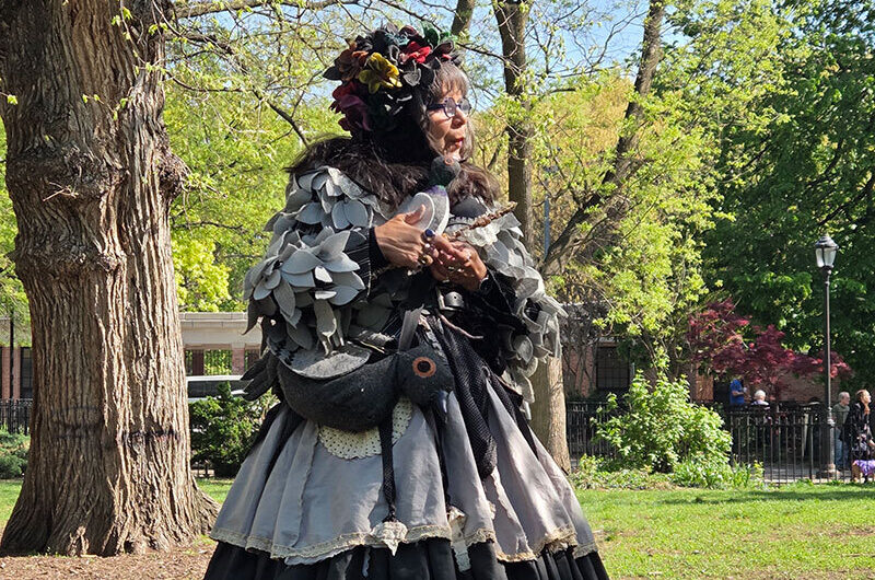 Meet NYC’s Art Activist Protecting the City’s Pigeons