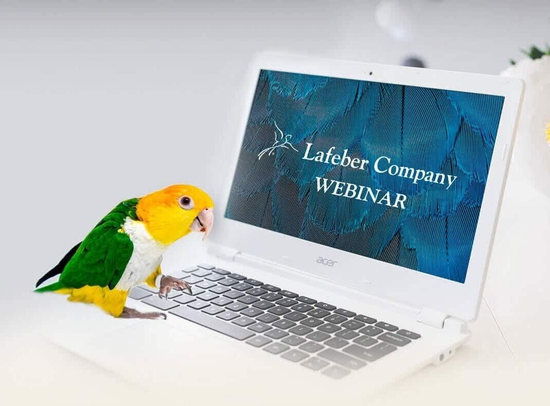 Webinar: Avian e-Collars & Restraint Devices With Dr. Pilny