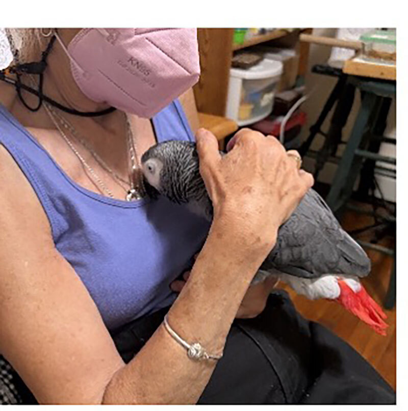 Inside Dr. Pepperberg’s Lab: Why Some Noises Terrify Parrots & Others Don’t