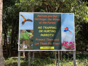 No trapping parrots sign