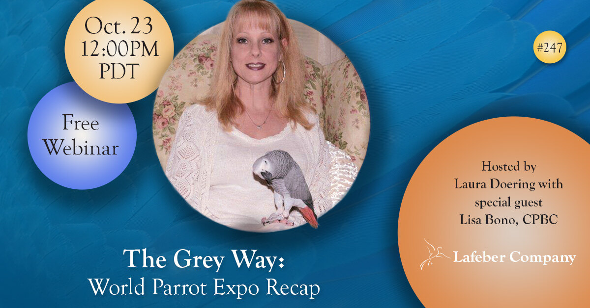 Webinar: World Parrot Expo Recap with Lisa Bono