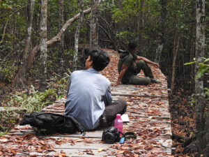 conservationalists sit of wooden lookout