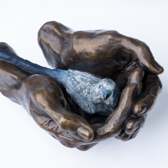2026 Avian Practitioner of the Year