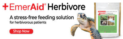 EmerAid Herbivore IC and sea turtle