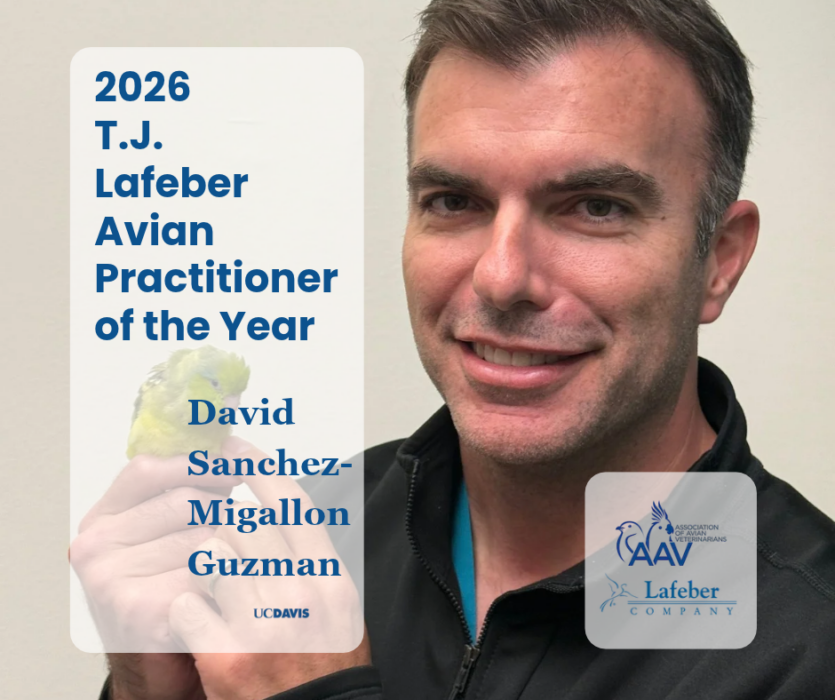 Guzman Facebook Award Graphic