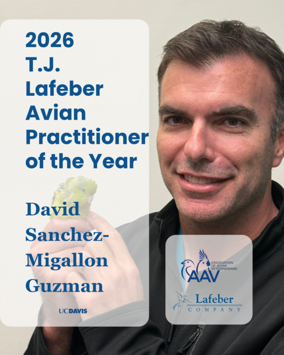 Guzman Award IG Graphic