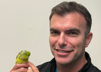 2026 Avian Practitioner of the Year
