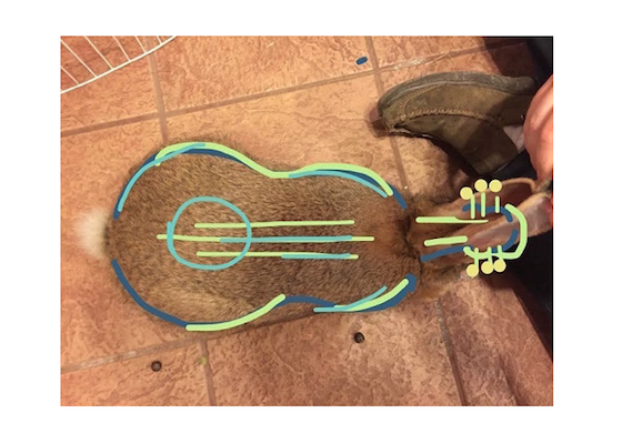 Mandolin shape rabbit
